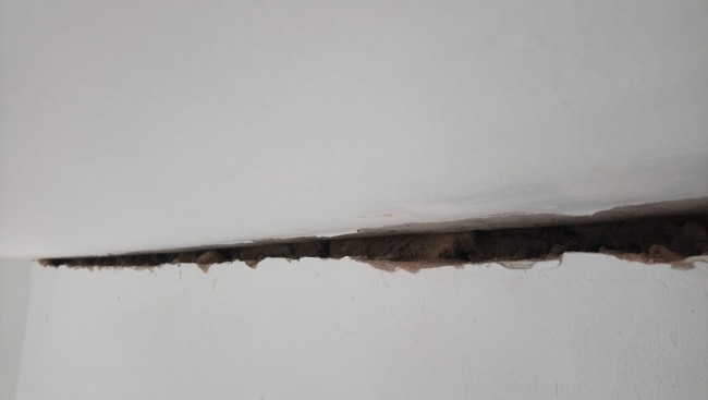 DSC_0330.jpg