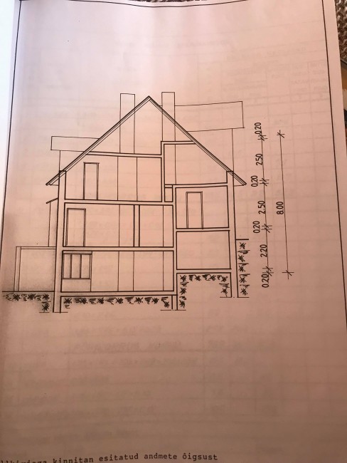 57360255_411564946066728_7429937150247829504_n.jpg