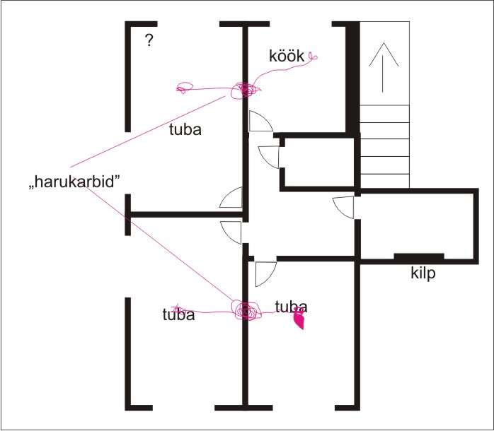 Graphic1.jpg