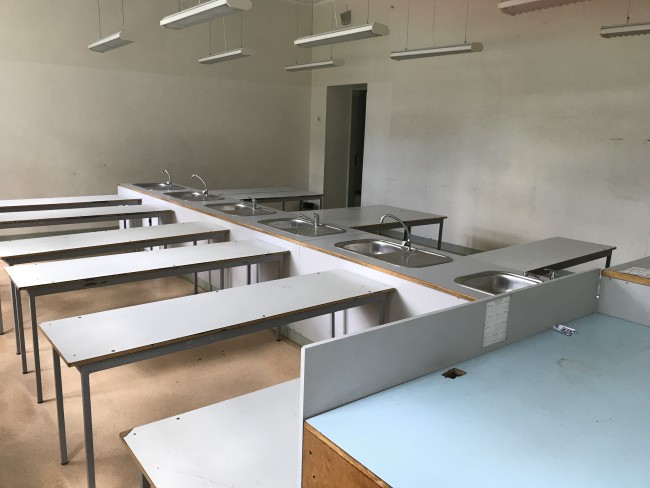 20190628_075552691_iOS.jpg