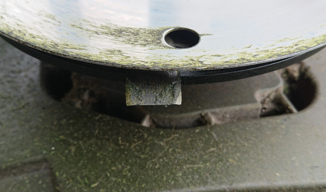 DSC_0264.JPG