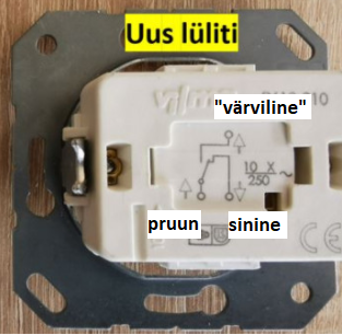 lyliti.png