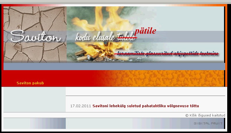 saviton.jpg