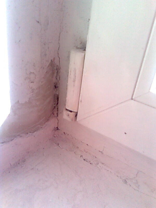 Pilt0146.jpg