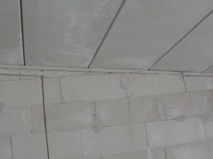 P3040007.jpg