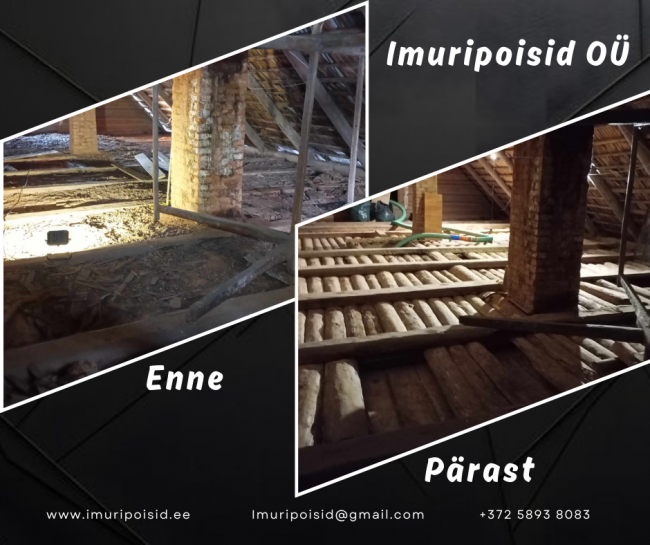 IMURIPOISID OÜ(2).png