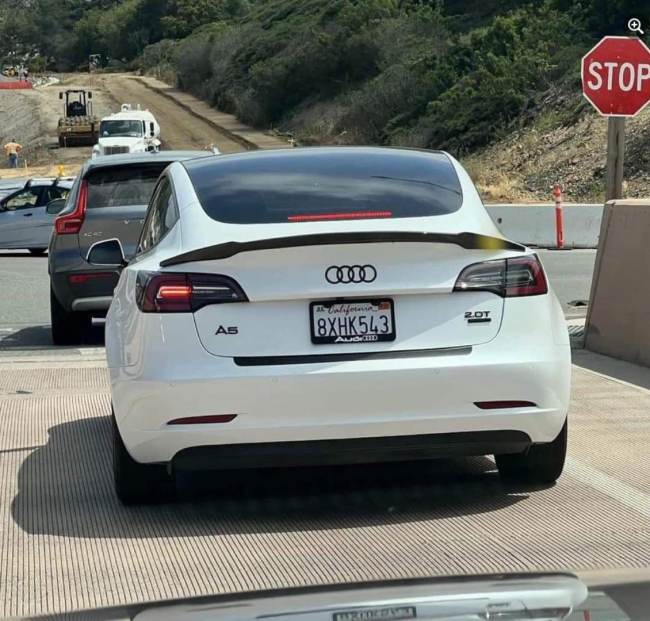 VALETESLA.png