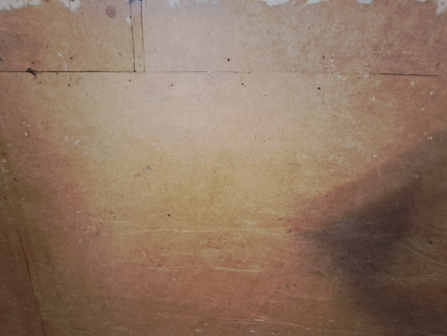 20250331_185814.jpg