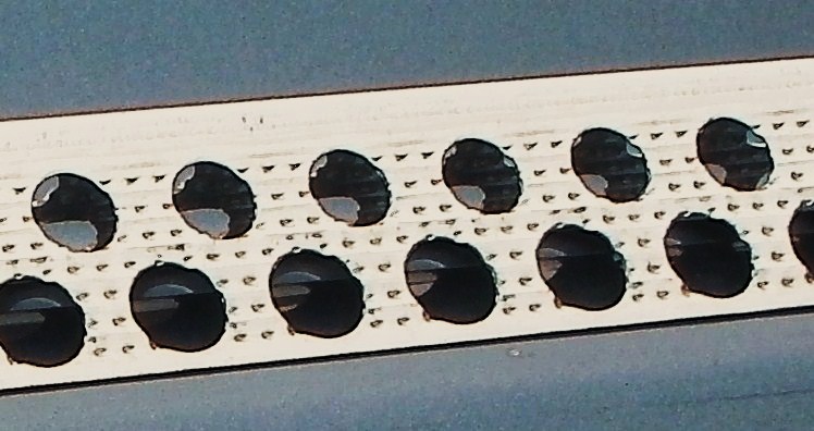 P8220098.JPG