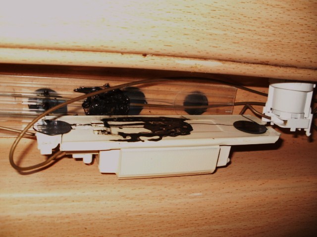 P9200111.JPG