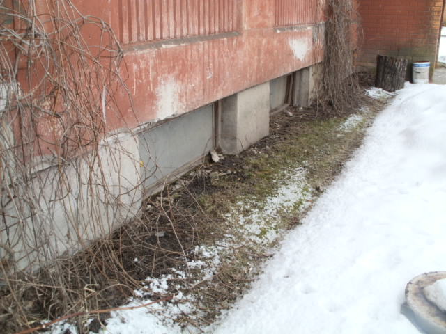 P4010106.JPG