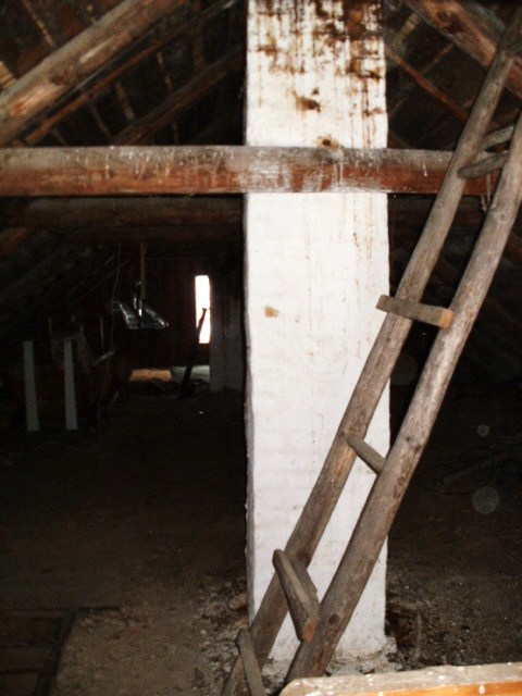 P4070119.JPG