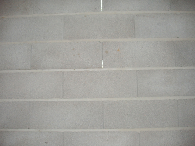 P1010188.JPG