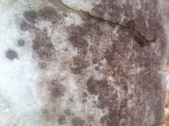 photo.JPG