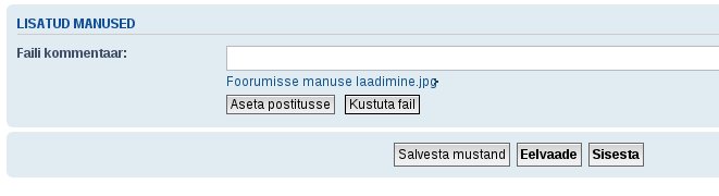 Foorumisse manuse laadimine_2.jpg
