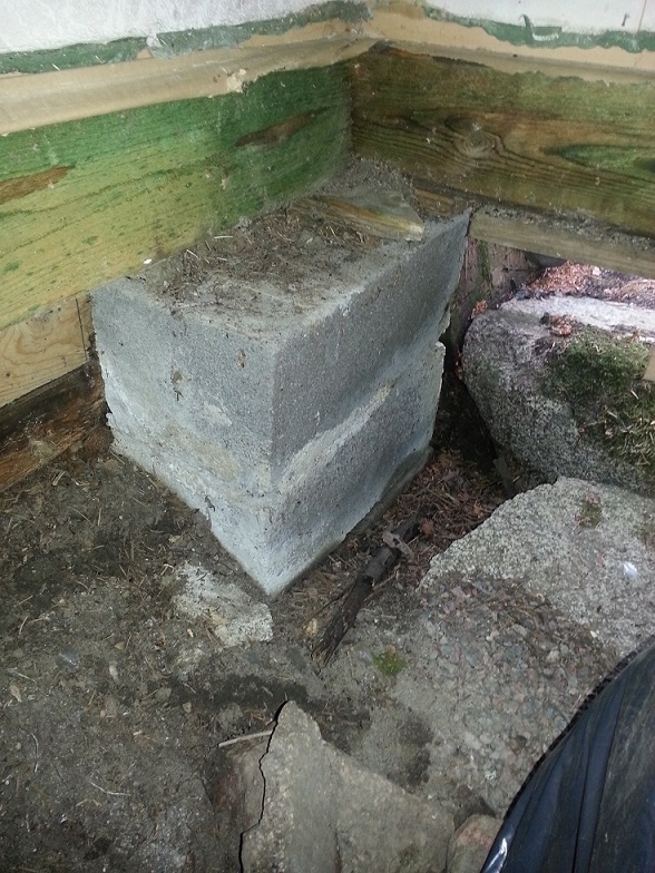 2013-06-11 19.42.38.jpg