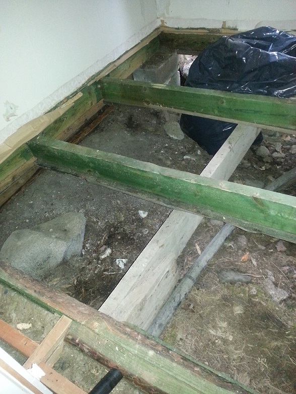 2013-06-11 19.42.17.jpg