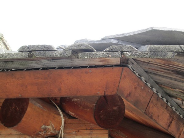 ungari2013 031.JPG