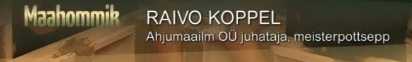 Mentor Raivo Koppel.PNG