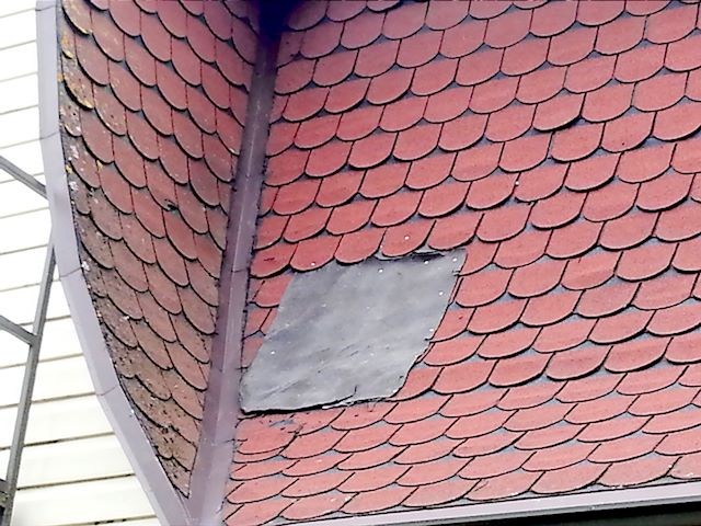20140602_142015_2.jpg