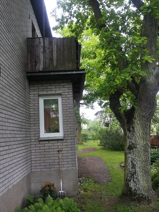 2014-06-02 19.35.40.jpg