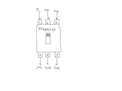 Peakaitse