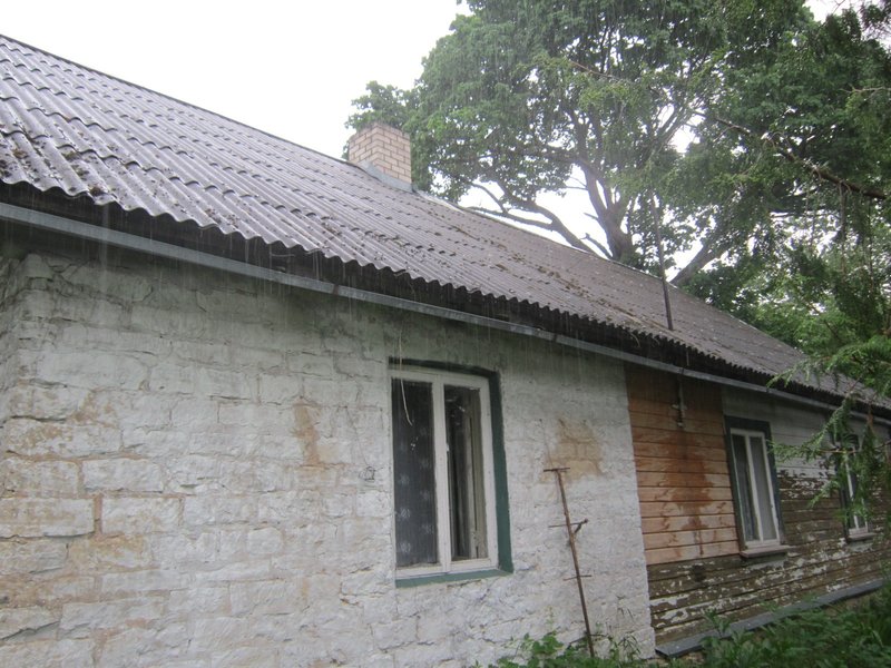 rsz_img_1411.jpg