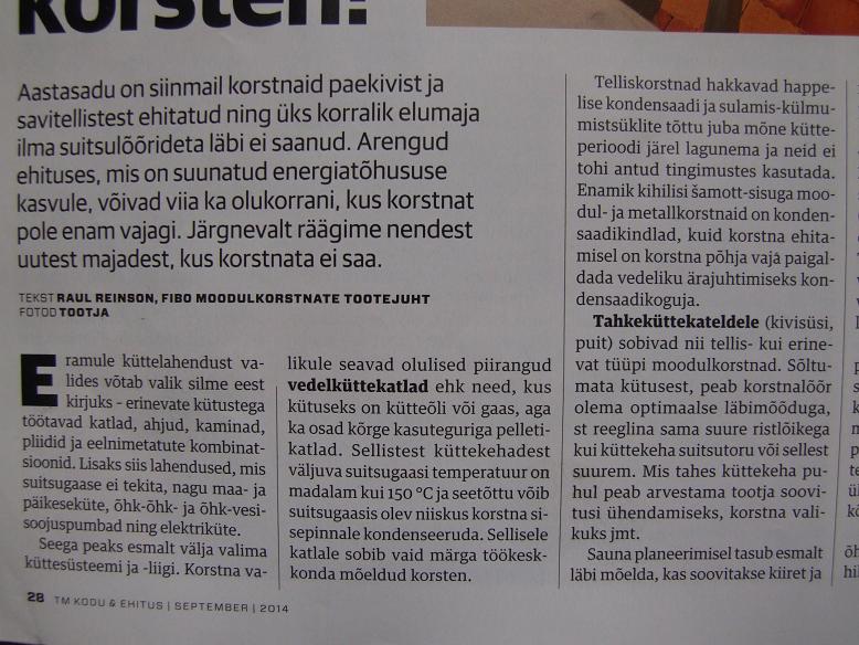 Kuidas valida õige korsten.JPG