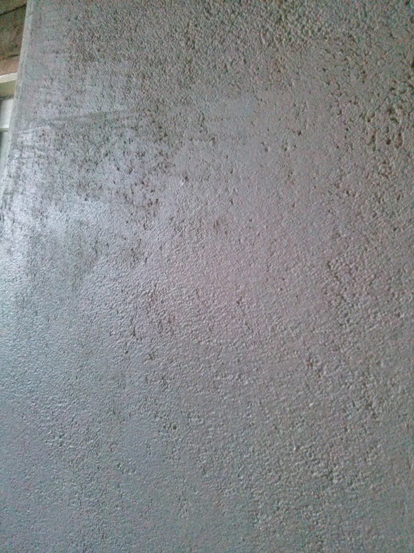 CAM00559.jpg