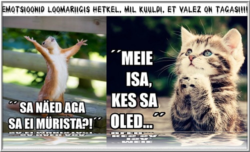 aapiiii.jpg