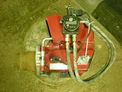 p5.JPG
