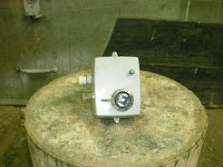 p10.JPG