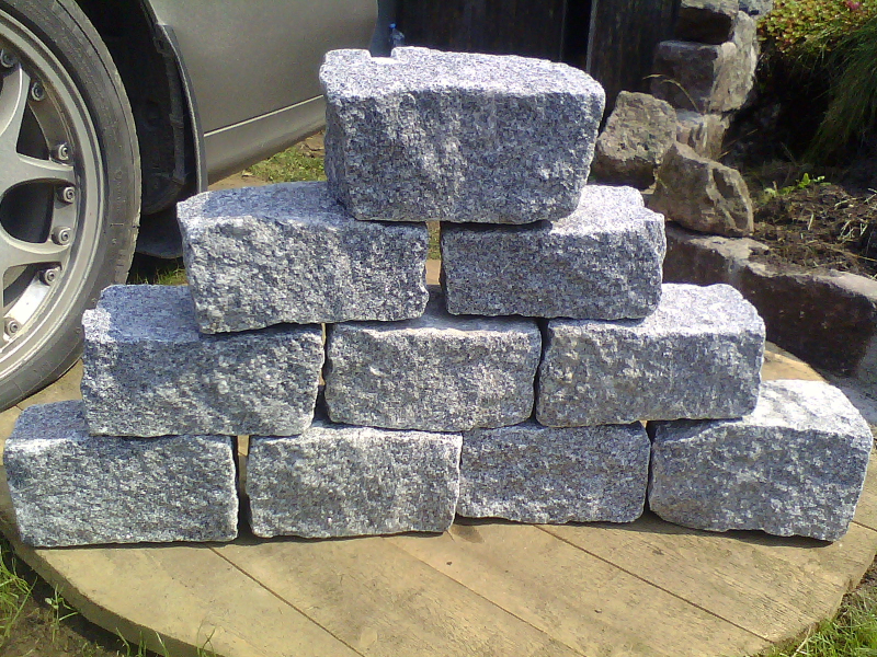 IMG00197.jpg