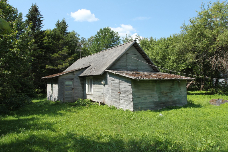 IMG_7460.jpg