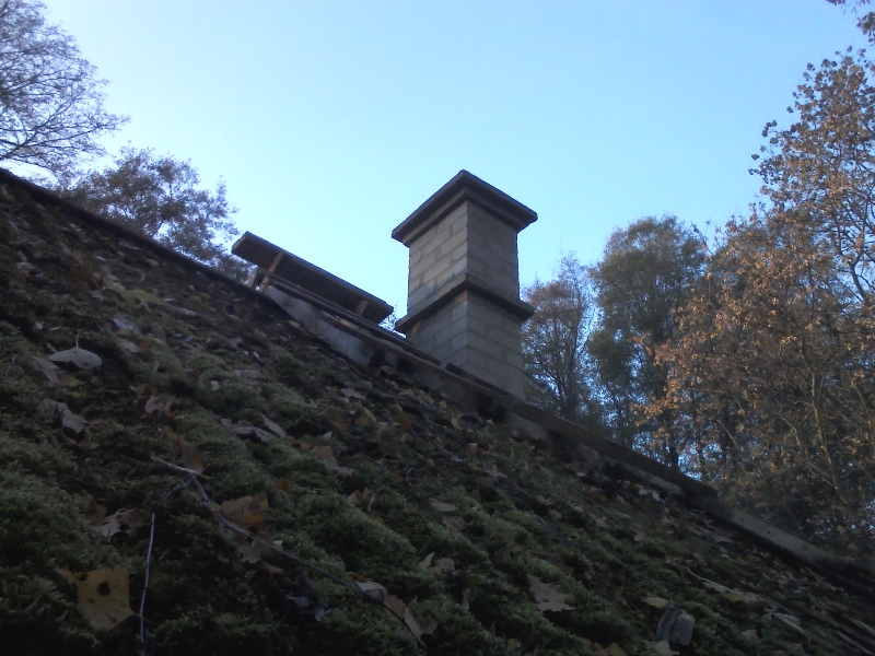 IMG00383.jpg