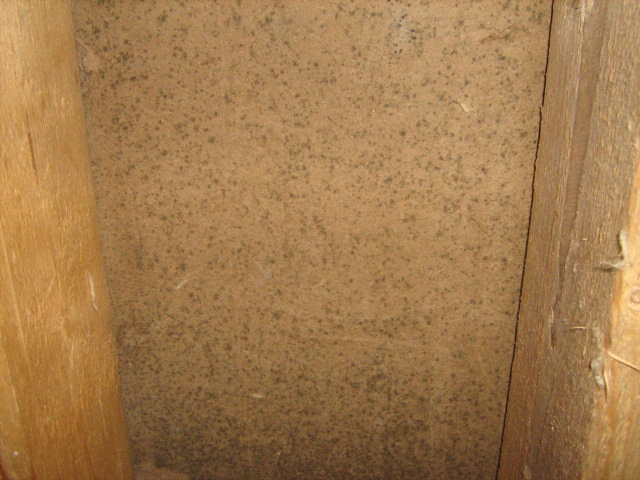 Picture 522.jpg