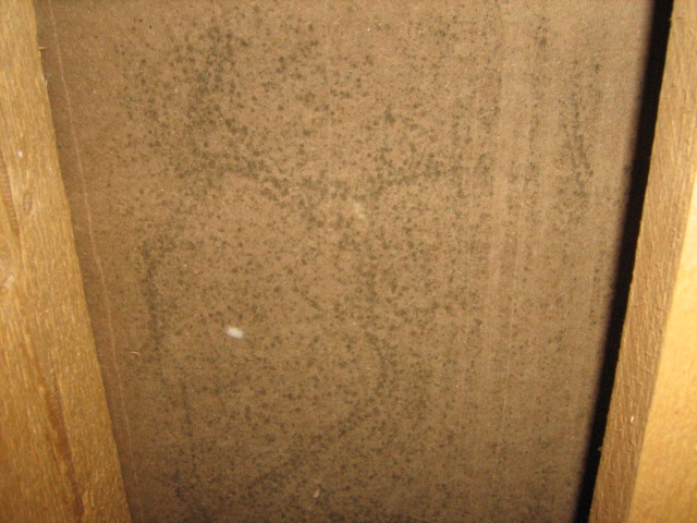 Picture 523.jpg