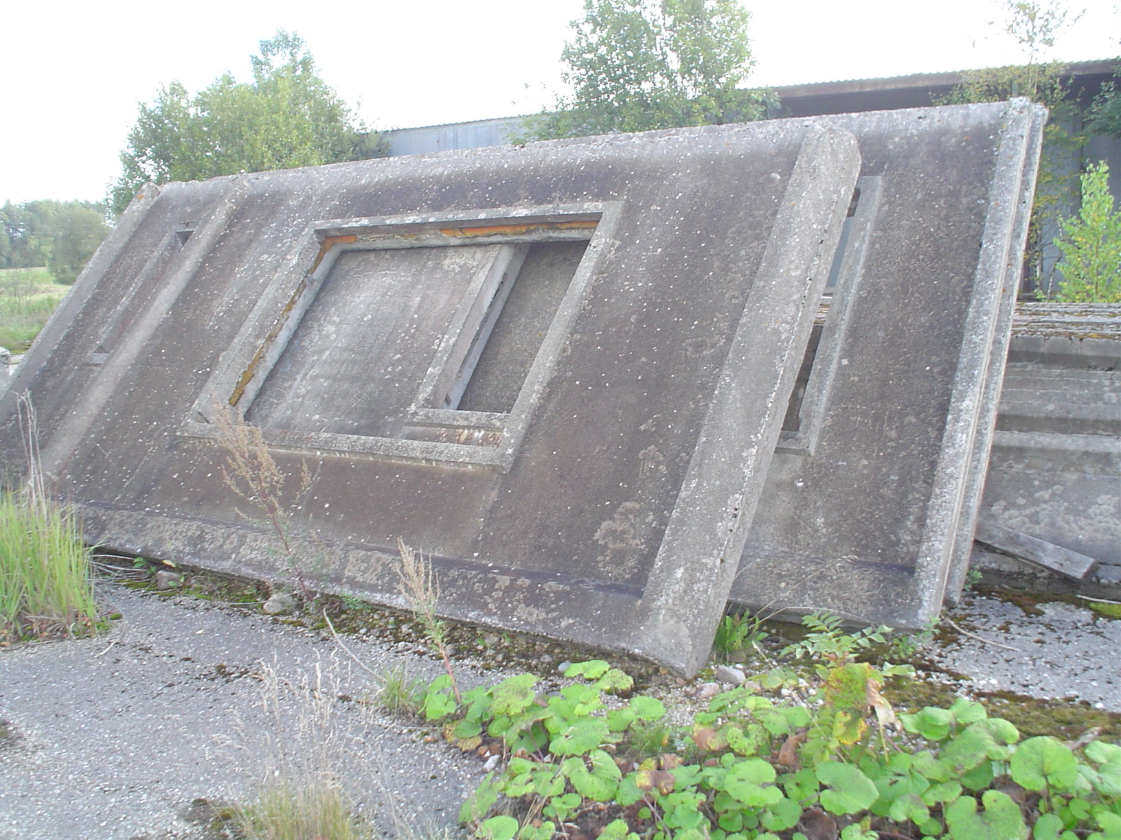 DSC00655.JPG