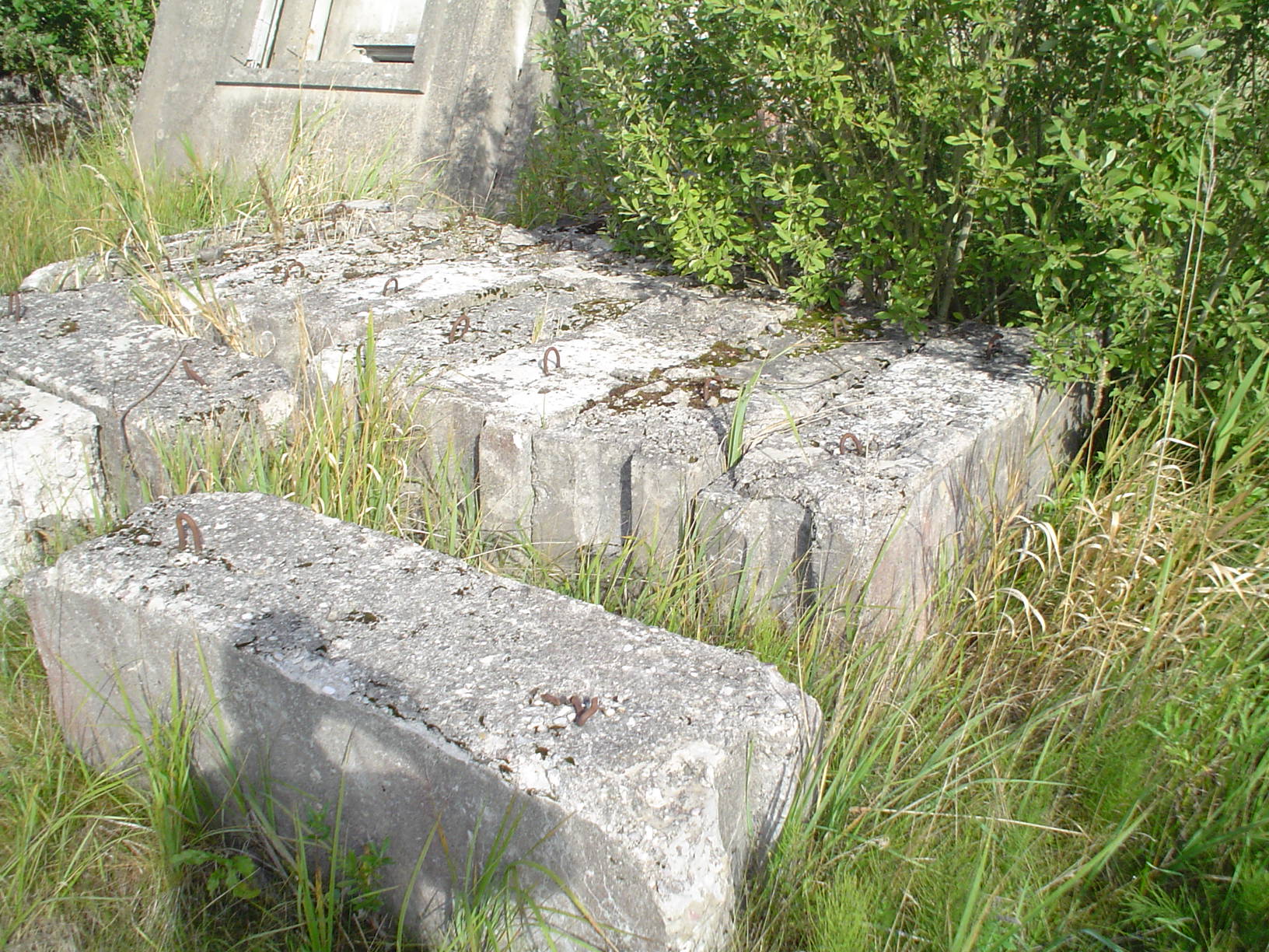 DSC00657.JPG