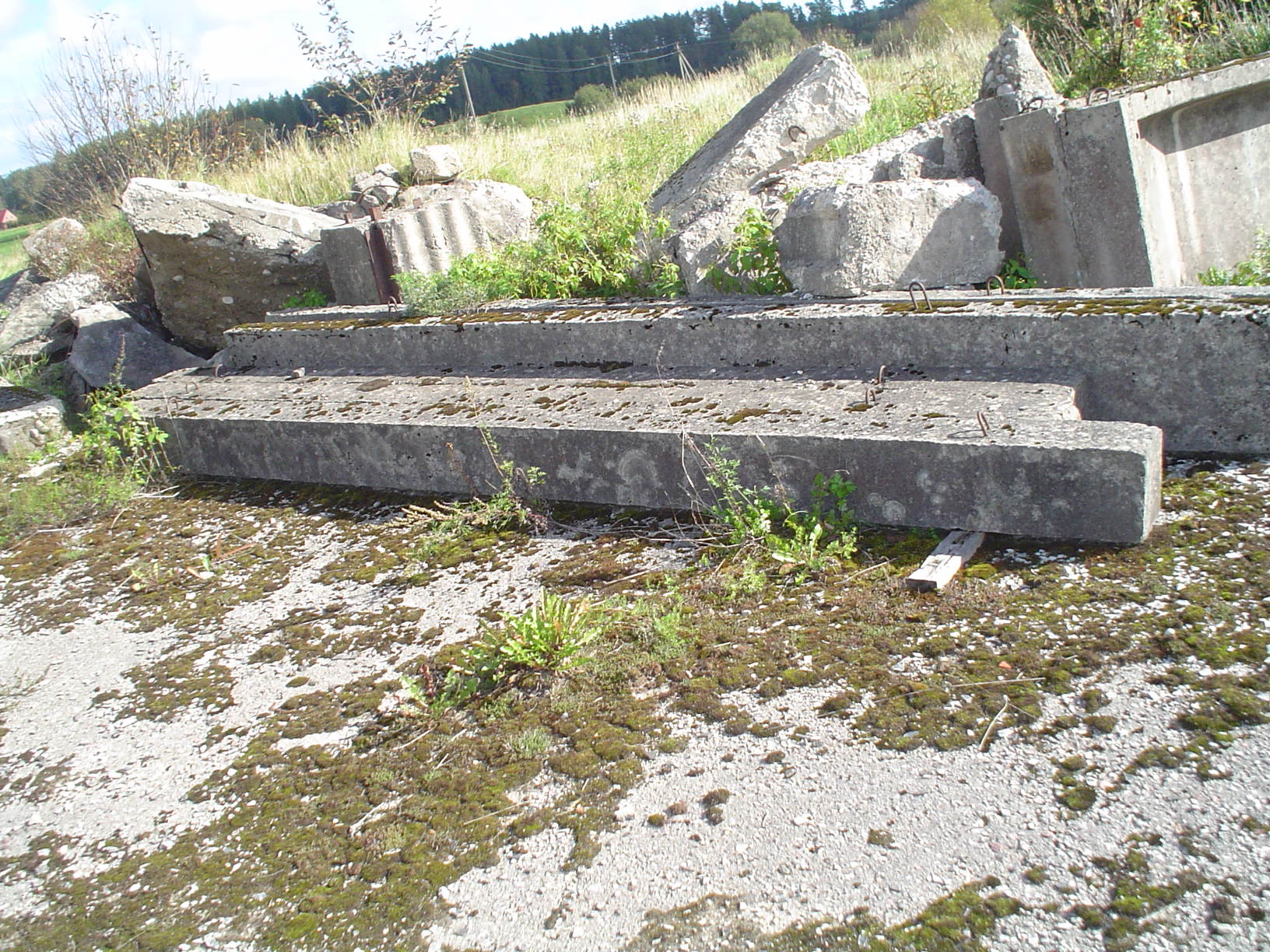 DSC00658.JPG