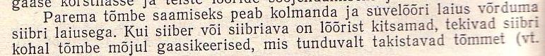 siiber.jpg