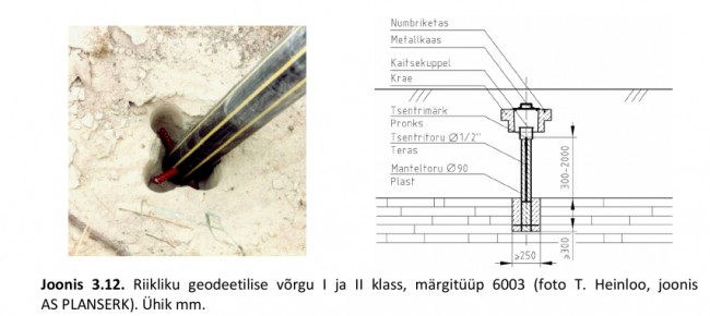 geovõrk6003.jpg