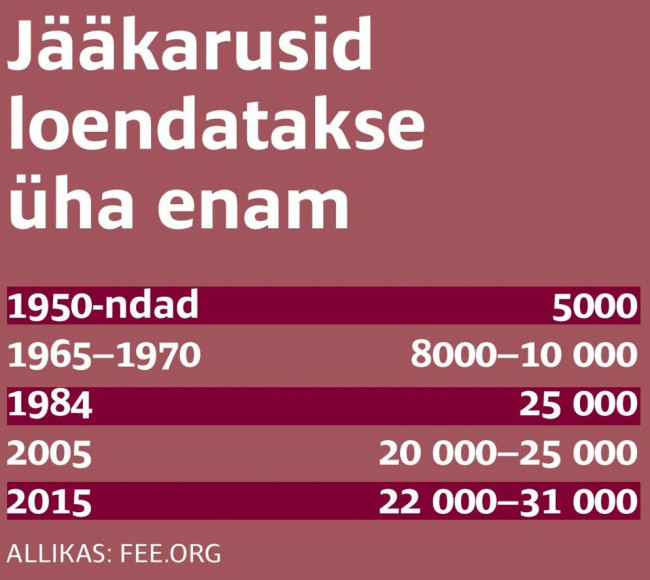 jääkarud.JPG