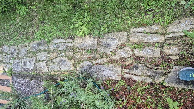 20250802_104726.jpg
