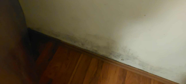 tüdrukute põrandanurk2.jpg