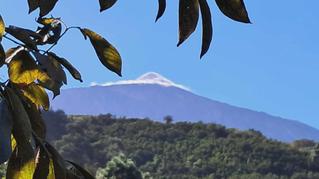Teide.jpg