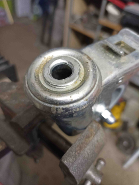 Ratta pealmine kauss.jpg