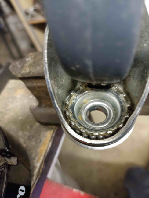 Ratas seestpoolt.jpg