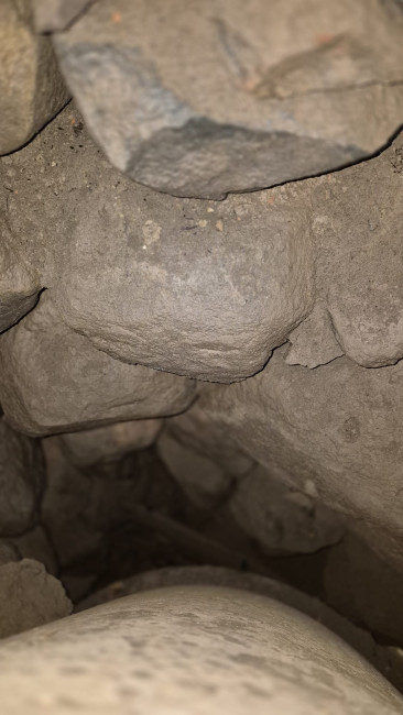 WhatsApp Image 2026-04-13 at 10.45.58 (1).jpeg