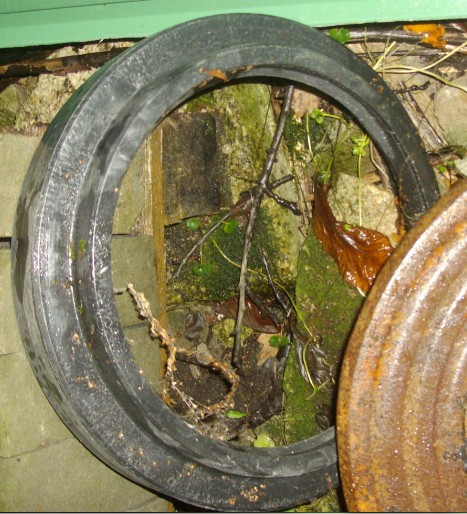 IMGP4708.JPG